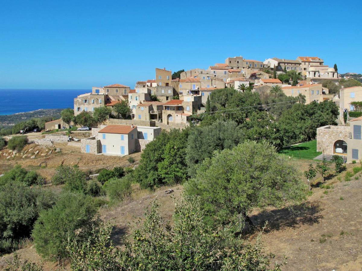 Apartment Thalassa - Cal200 By Interhome Corsica Island 외부 사진