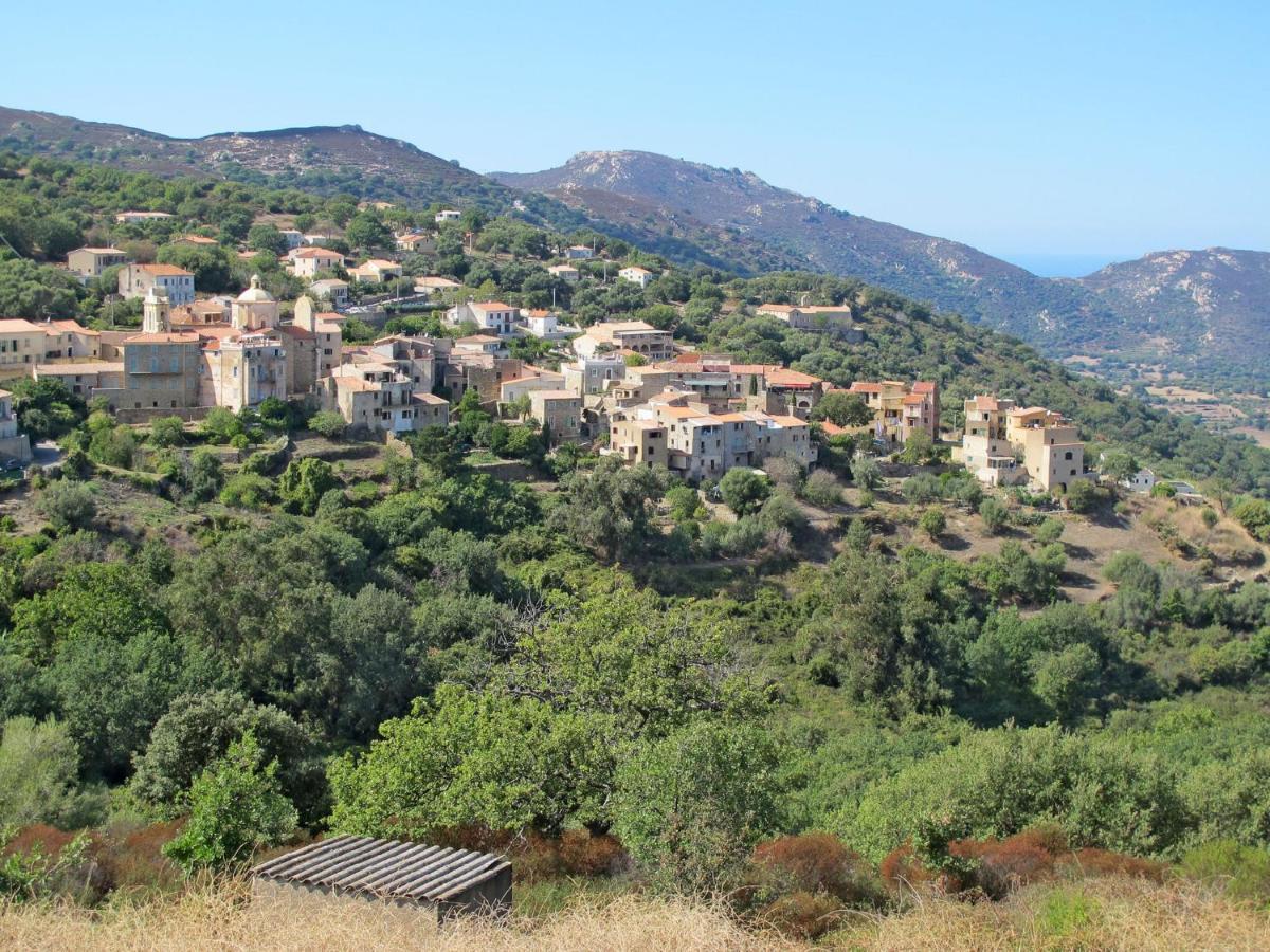 Apartment Thalassa - Cal200 By Interhome Corsica Island 외부 사진