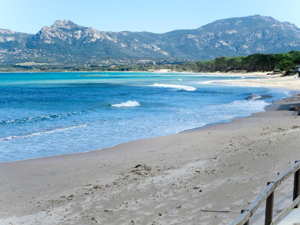 Apartment Thalassa - Cal200 By Interhome Corsica Island 외부 사진